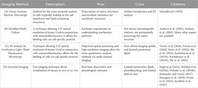 Imaging analysis for muscle stem cells and regeneration